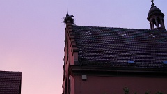 2019-08 Hocck in Zell (14)